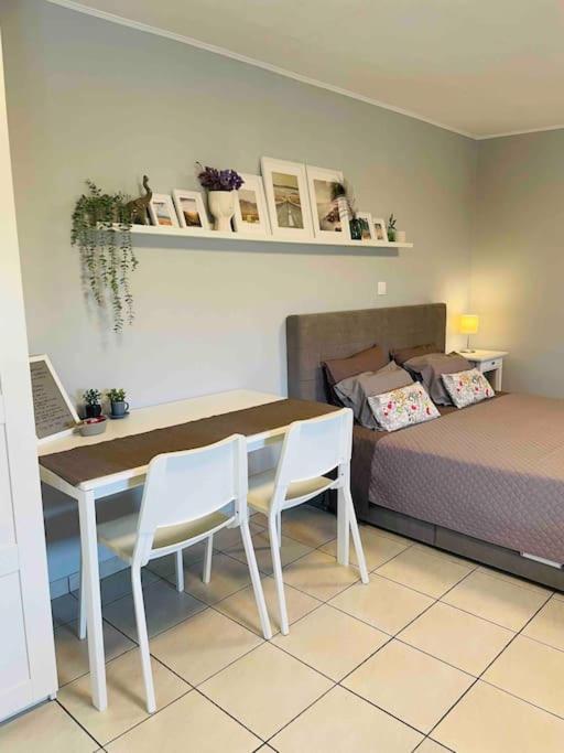 New, Modern And Cozy In